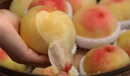 水蜜桃成3熟在线观看,甜蜜瞬间，在线共享美味时光